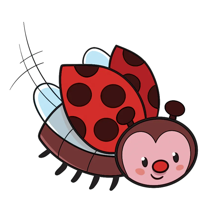 K0173_inside4.webp