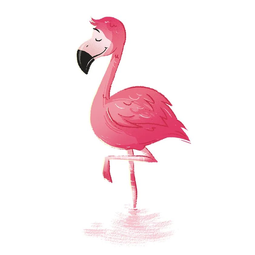 K0178_det_flamingo.webp