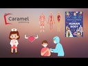 youtube - [Video]