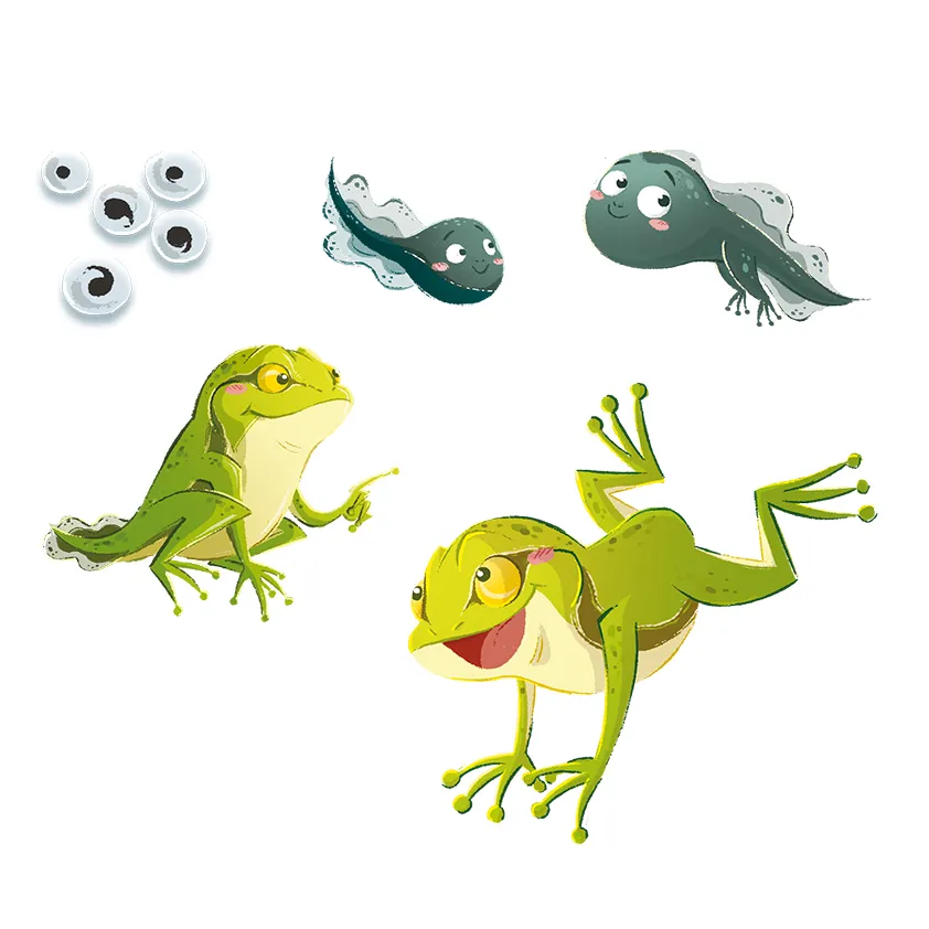 K0178_det_frog.webp