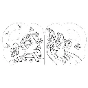 C0259_inside.webp