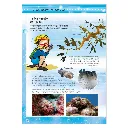 P0109_inside1.webp