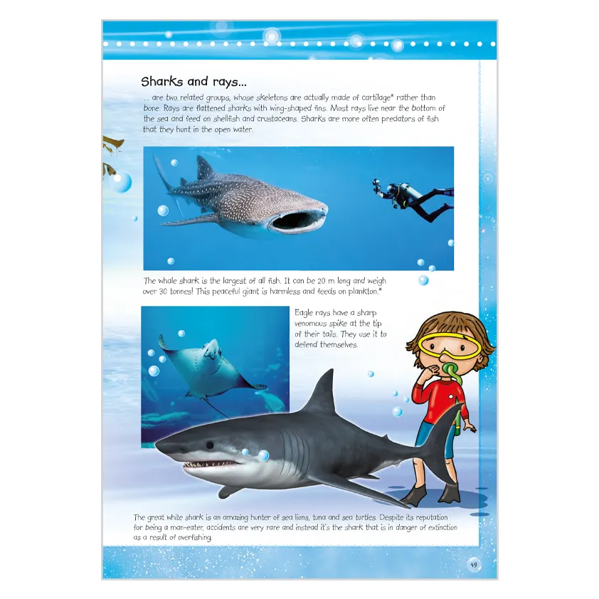 P0109_inside2.webp