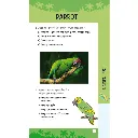P0163_inside3_web.webp