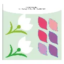 S0257_inside2.webp