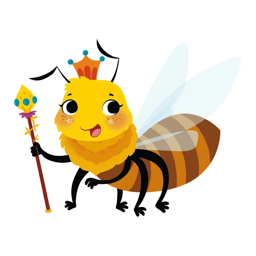 P0164_inside8.webp