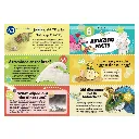 S0227_inside2_dinos.webp