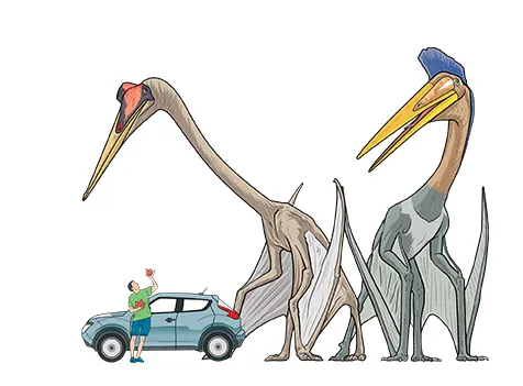 S0227_detail_dinos.webp