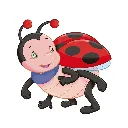 P0157_det_ladybird.webp