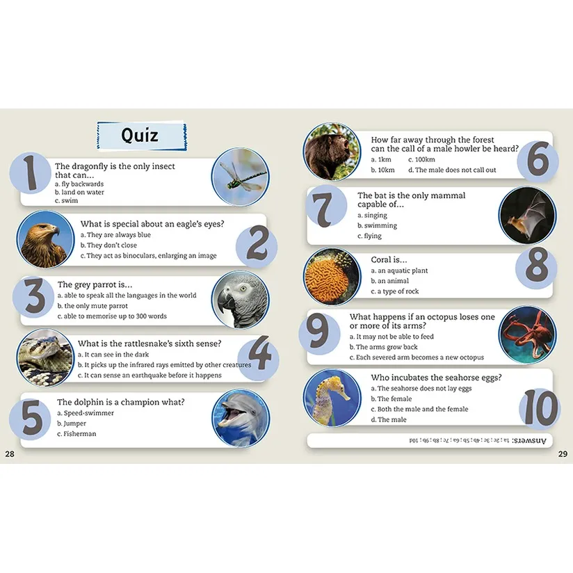 P0142_Quiz.webp