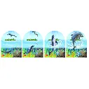 CARAMEL_P0109_DISCOVER-SEA_4-view-lenticular.webp