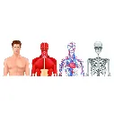 P0083_COV_4-view-hologram.webp