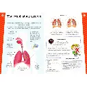S0256_T07 spreads_10-11_respiratory-system.webp