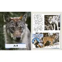 P0142_spreads2.webp