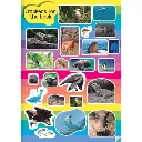 S0256 T04 (2).webp