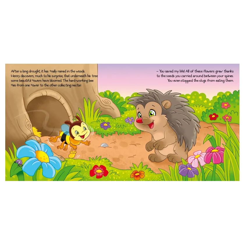 P0157_inside_hedgehog.webp
