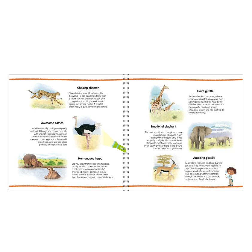 P1068_inside_AnimalsWorld_MagicLamp_02_web.webp