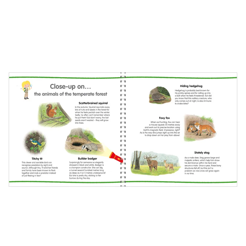 P1068_inside_AnimalsWorld_MagicLamp_01_web.webp