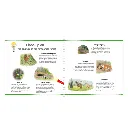 P1068_inside_AnimalsWorld_MagicLamp_01_web.webp