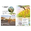 P0160_encyclo_ani_inside3.webp