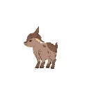 P0160_encyclo_ani_det2.webp