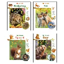 P0156_4covers.webp