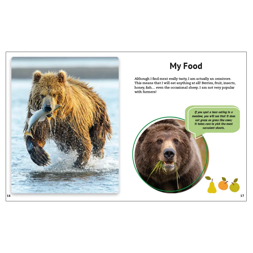 P0156_inside_bear.webp