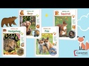 youtube - [Video]