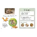 P0156_inside_fox.webp