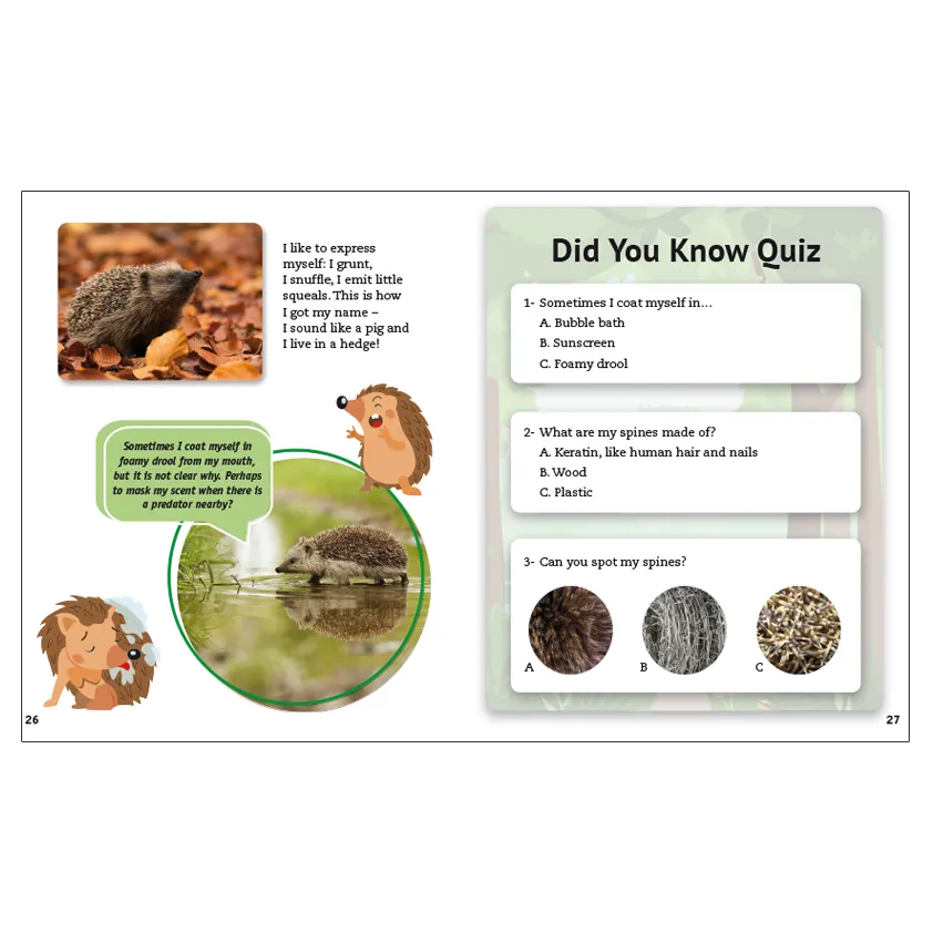 P0156_inside_hedgehog.webp