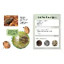 P0156_inside_hedgehog.webp