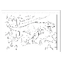 C0256_inside_Dino.webp
