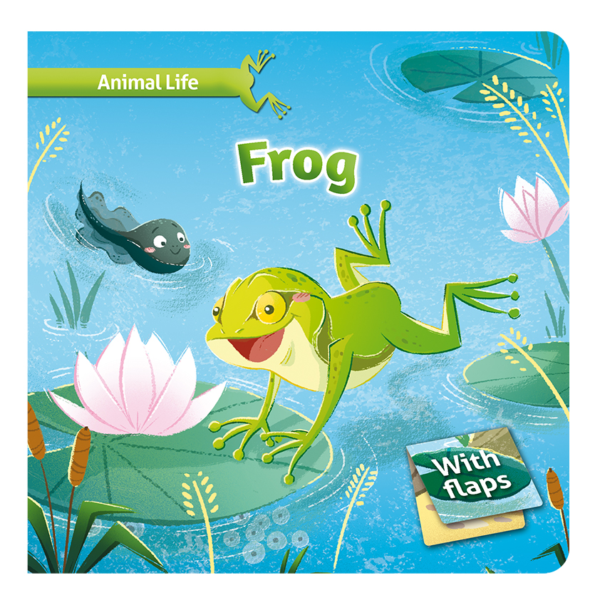 [K0178-T02] Animal Life - Frog