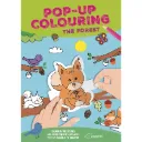 Pop-up Colouring Book - Forest