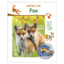 Animal Life - Fox