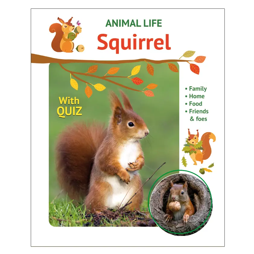 [P0156-T03] Animal Life - Squirrel (-)