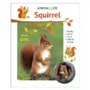 Animal Life - Squirrel