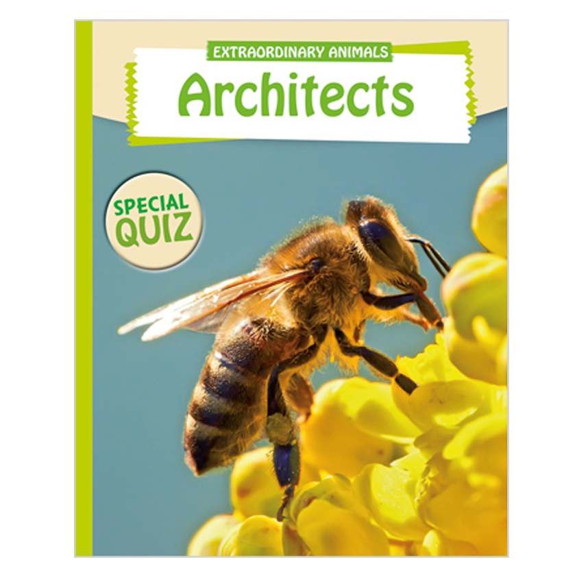 Extraordinary Animals - Architects
