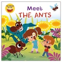 Magic Book - Meet The Ants